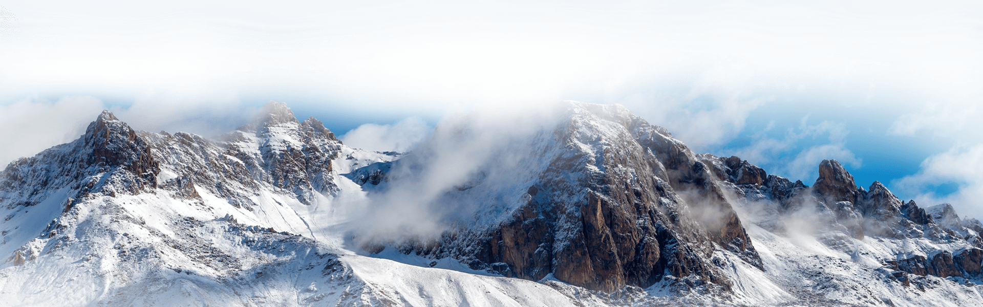 Newsletter Background